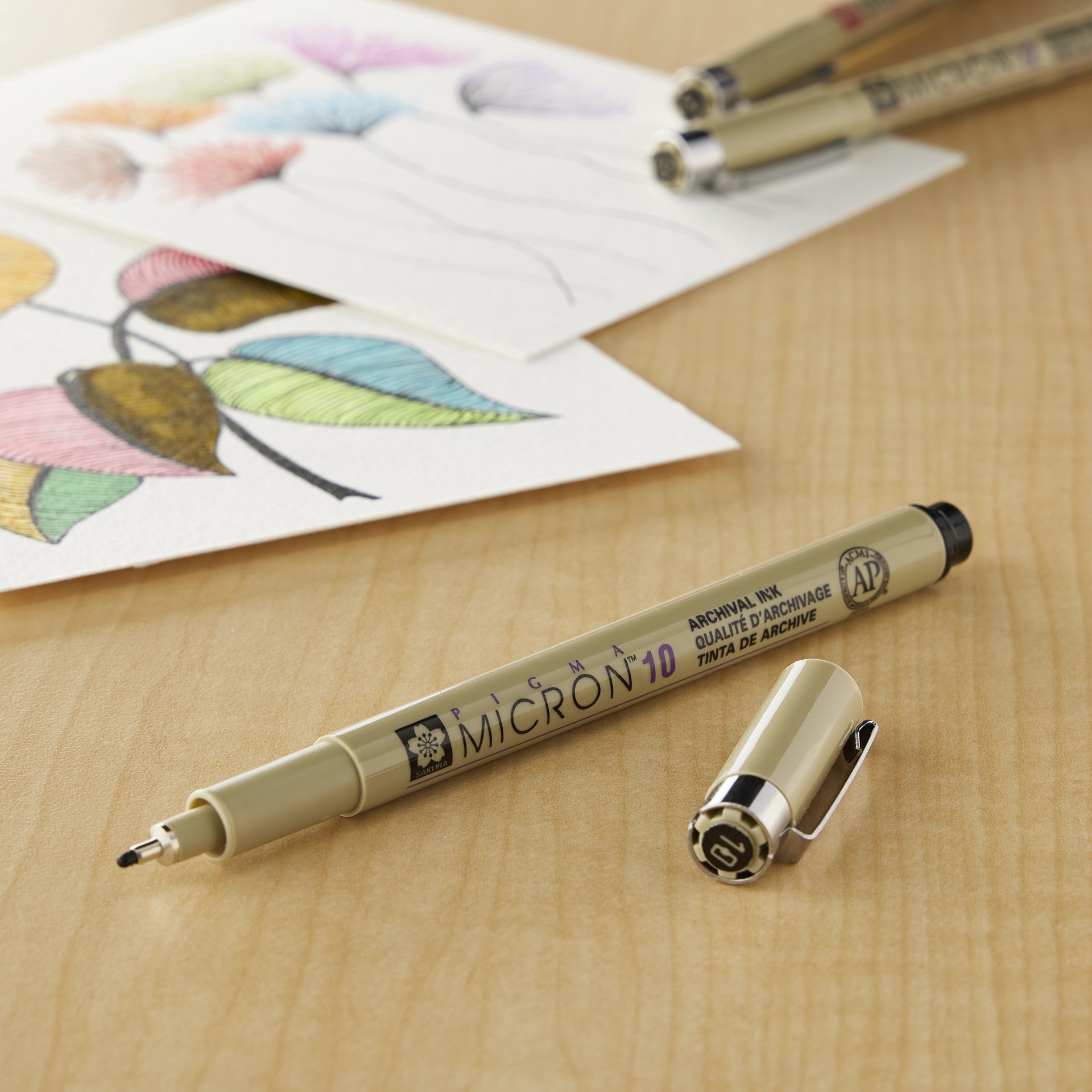 slide 2 of 4, Sakura Pigma Micron 10 Pen, 0.6 mm