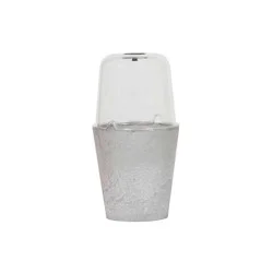 StoneArt Napa Sprout House Mini Terrarium - Grey, 1 ct