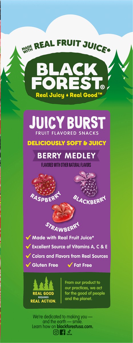slide 14 of 15, Black Forest Juicy Burst Berry Medley Fruit Flavored Snacks 40 - 0.8 oz Pouches, 40 ct