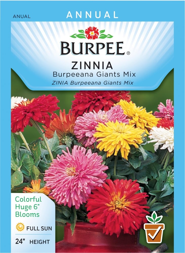 slide 1 of 1, Burpee Zinnia And Burpeeana Giants Seed Mix - Multi-Color, 1 ct