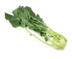 Fresh Baby Green Kohlrabi
