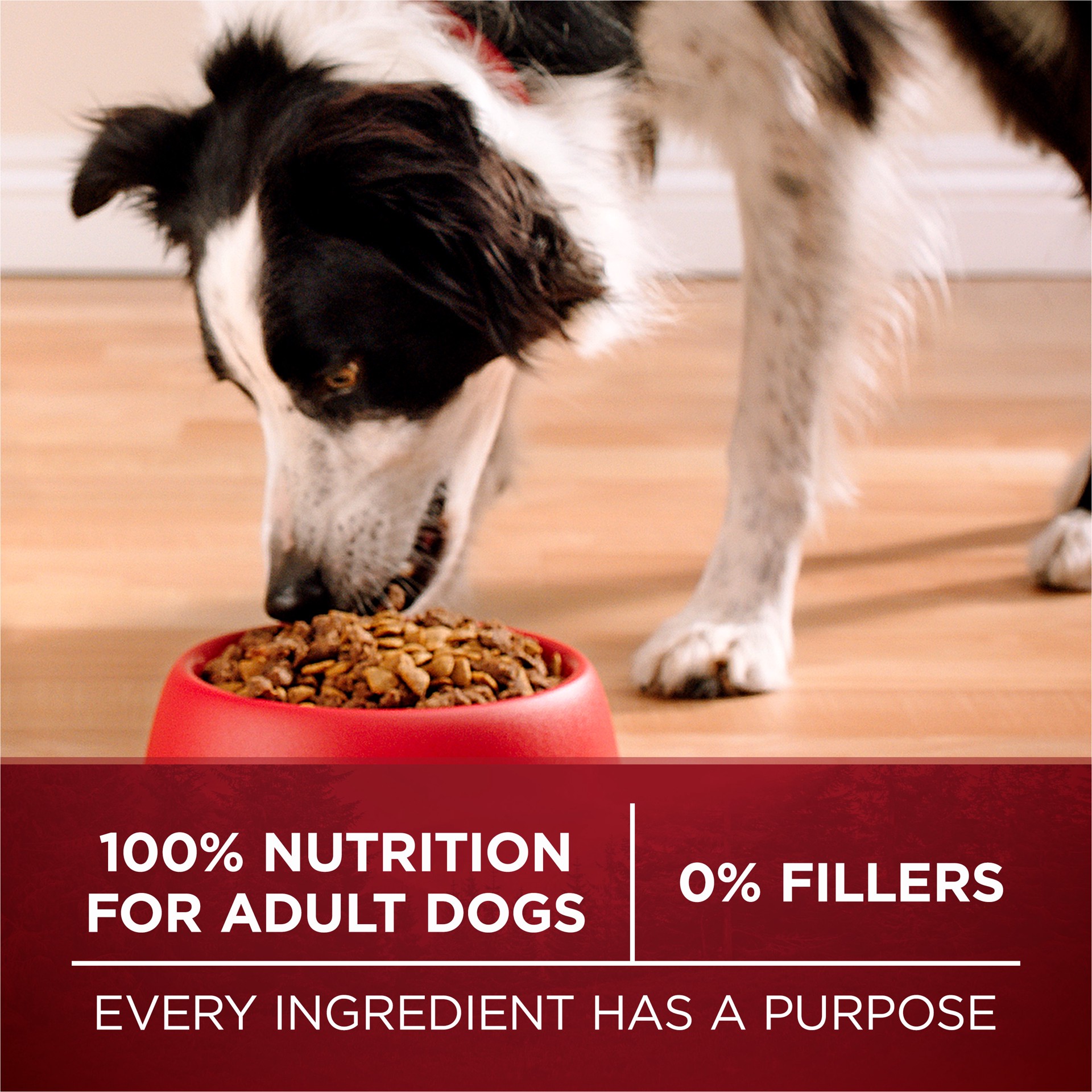 slide 8 of 8, Purina ONE High Protein, Natural Dry Dog Food, True Instinct With Real Salmon & Tuna - 15 lb. Bag, 15 lb