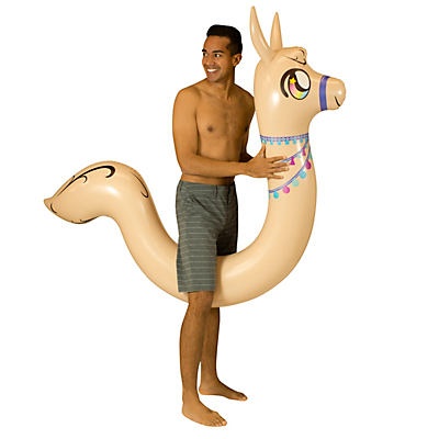 slide 1 of 1, PoolCandy Llama Ride On Pool Noodle, 1 ct