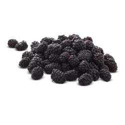 Blackberry Blackberries