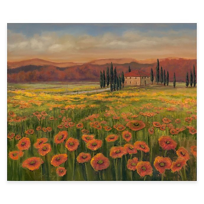 slide 1 of 1, Courtside Market Tuscan Meadow I Canvas Wall Art, 1 ct