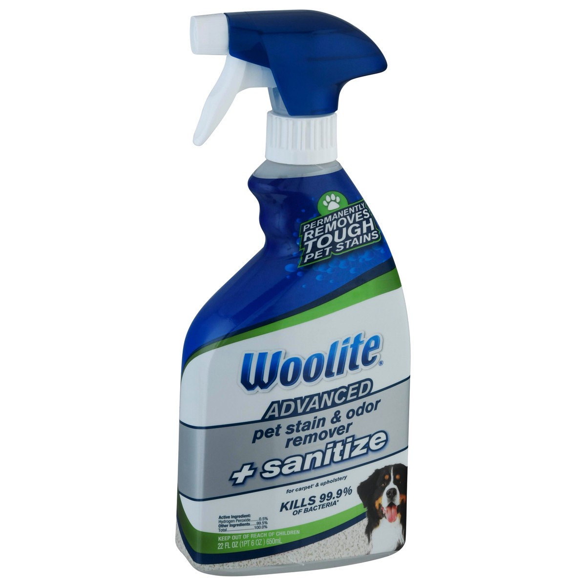 slide 2 of 9, Woolite Advanced Pet Stain & Odor Remover + Sanitize For Carpets & Upholstery, 22 oz