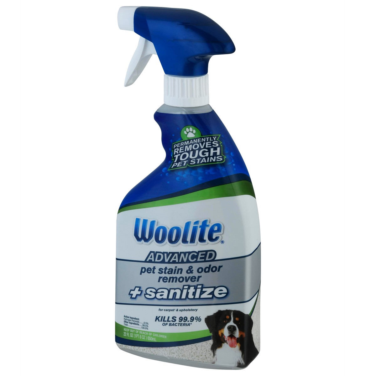 slide 3 of 9, Woolite Advanced Pet Stain & Odor Remover + Sanitize For Carpets & Upholstery, 22 oz