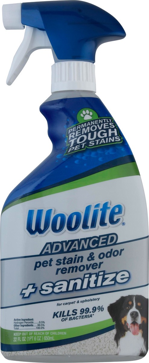 slide 6 of 9, Woolite Advanced Pet Stain & Odor Remover + Sanitize For Carpets & Upholstery, 22 oz