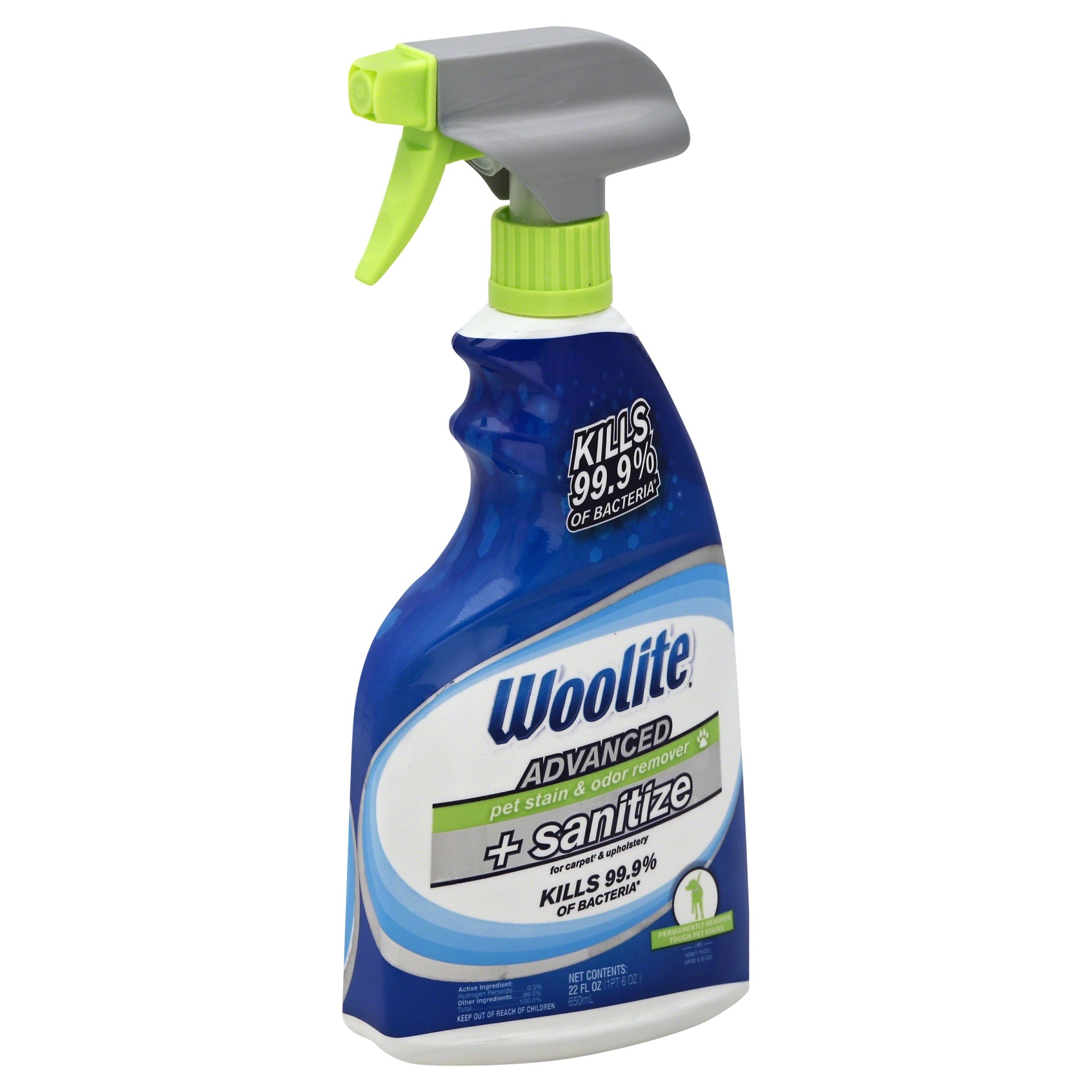 Woolite Advanced Pet Stain & Odor Remover + Sanitize For Carpets
