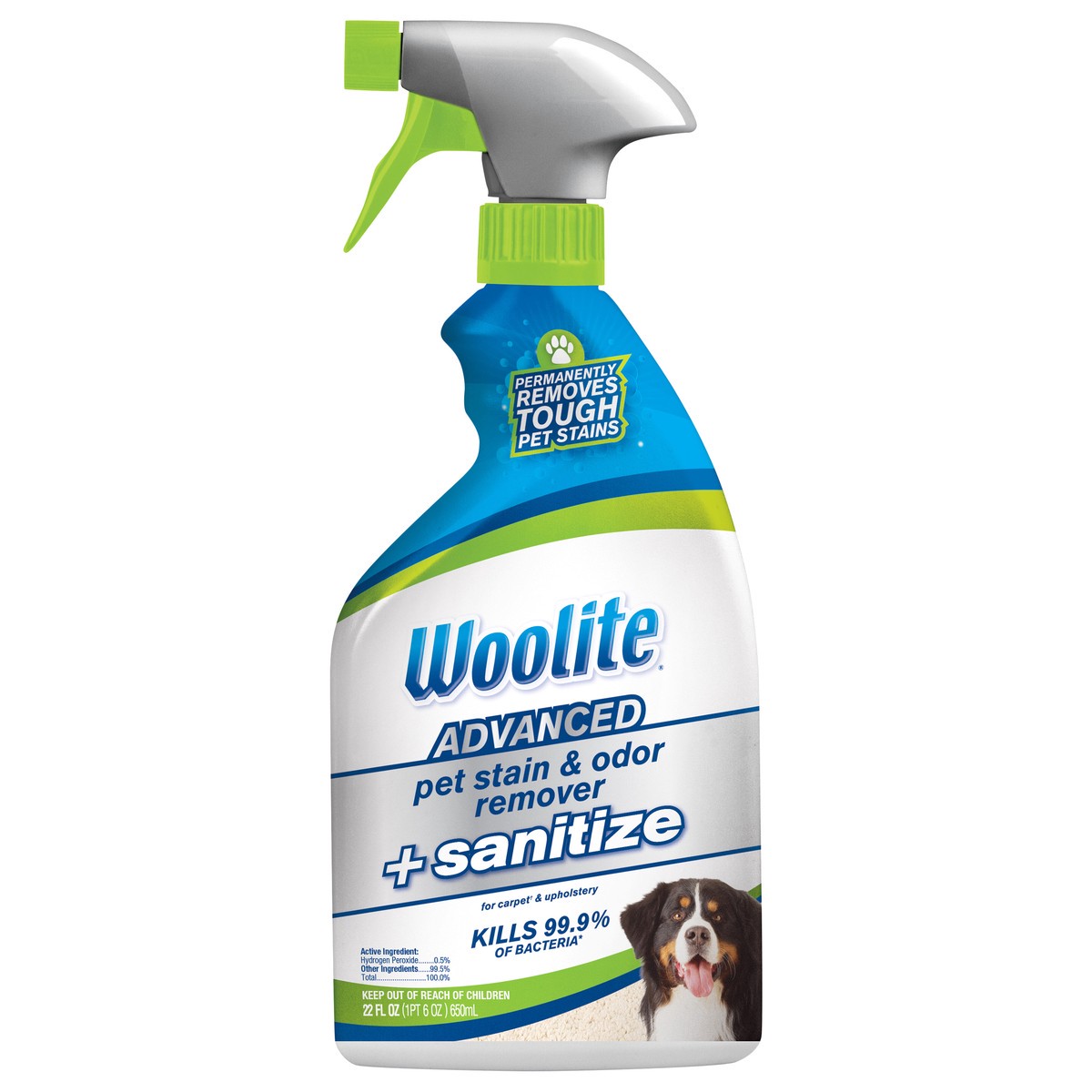 slide 1 of 9, Woolite Advanced + Sanitize Pet Stain & Odor Remover 22 fl oz, 22 fl oz