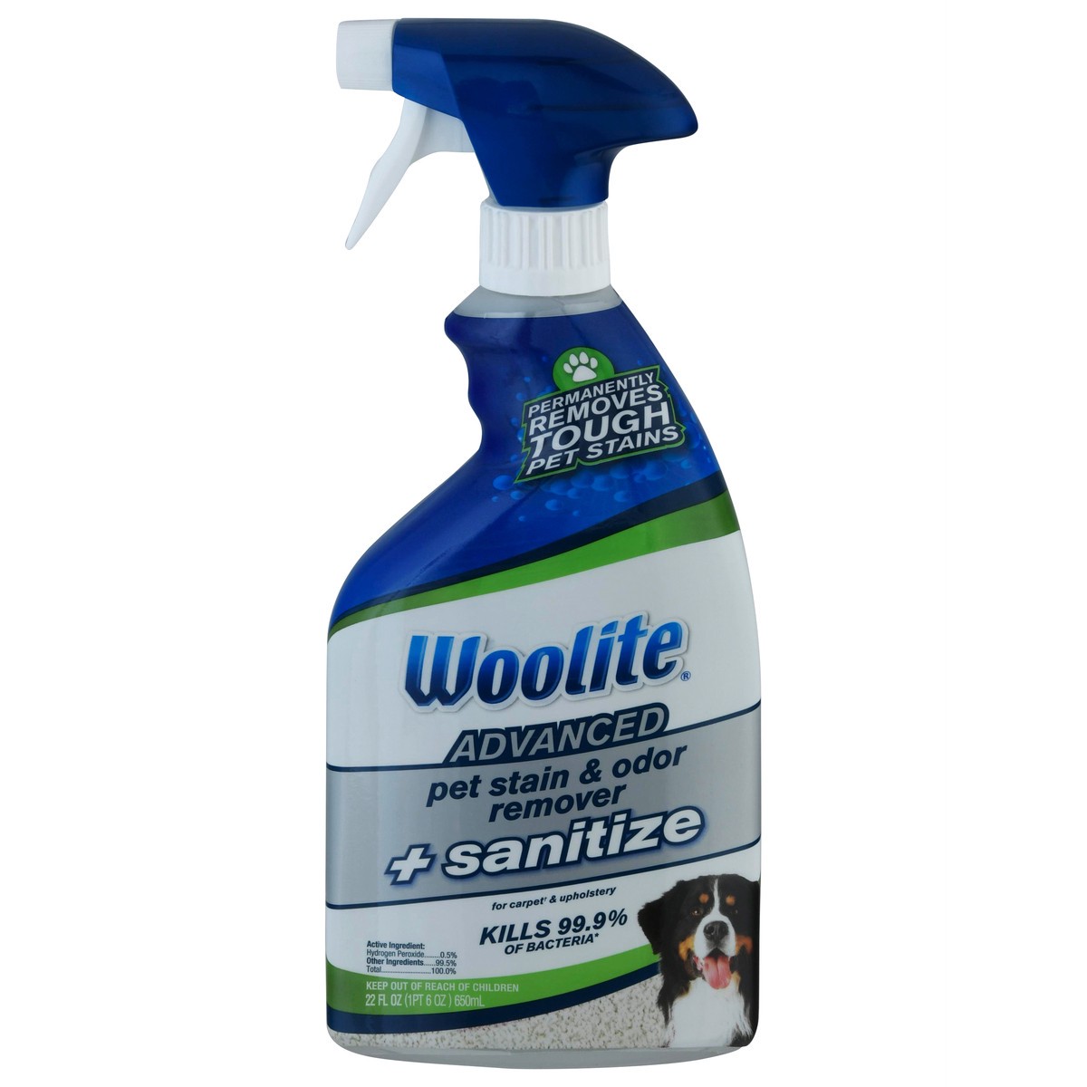 slide 1 of 9, Woolite Advanced Pet Stain & Odor Remover + Sanitize For Carpets & Upholstery, 22 oz