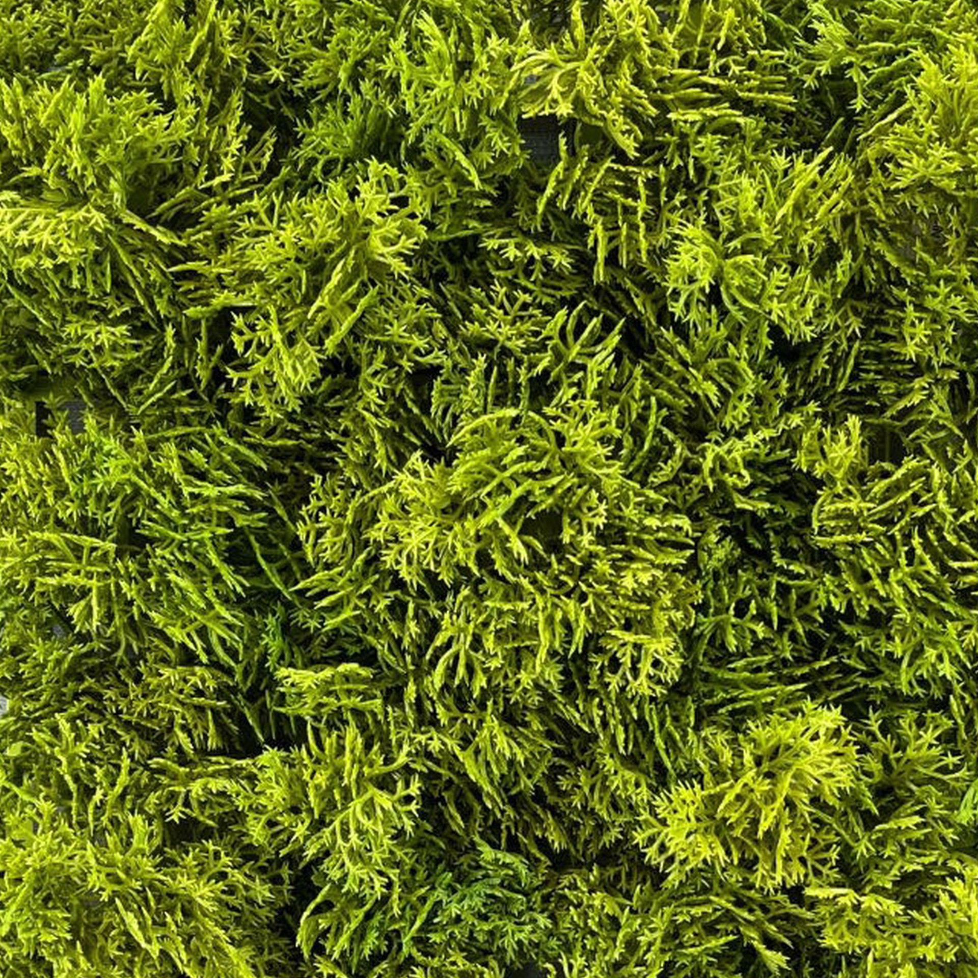 slide 2 of 4, 10" Faux Moss Mat By Ashland, 10 in x 10 in