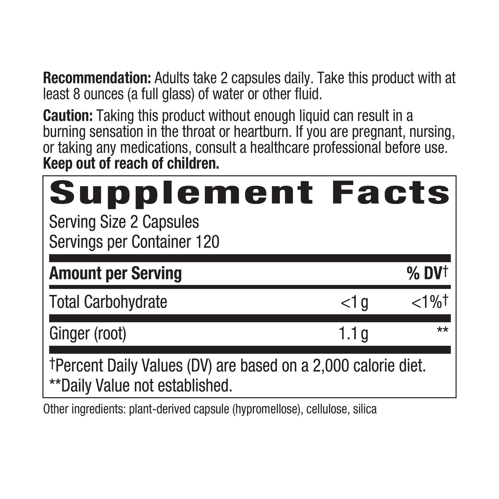 slide 2 of 4, Nature's Way Ginger Root, 240 ct