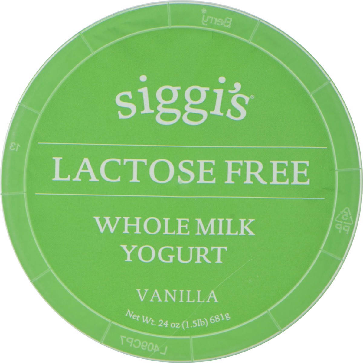 slide 7 of 11, Siggi's Lactose Free Vanilla Yogurt, 24 oz