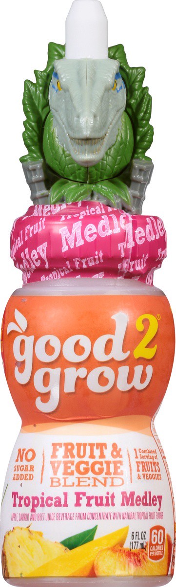 slide 9 of 10, good2grow Tropical Fruit Medley Juice, 6 fl oz