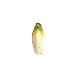 Belgian Endive Lettuce
