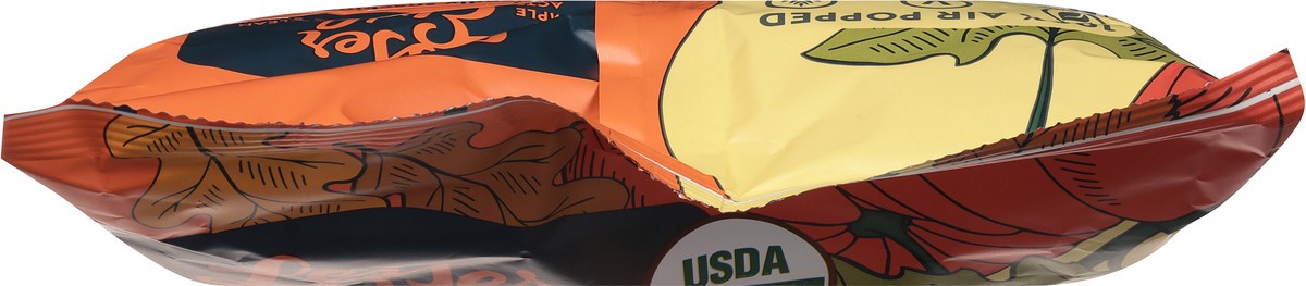 slide 7 of 9, LesserEvil Organic Pumpkin Spice Popcorn 6.4 oz, 6.40 oz