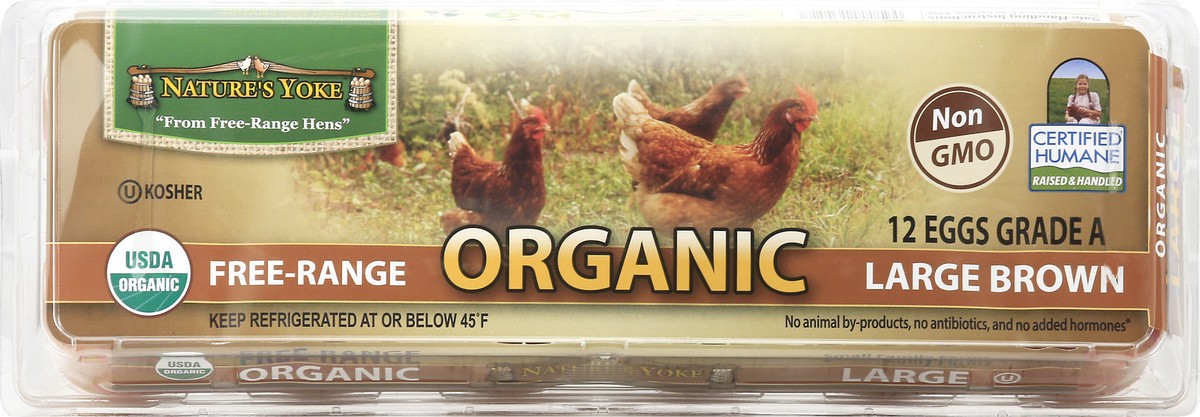 slide 3 of 12, Nature's Yoke Large Free-Range Brown Organic Eggs 12.0 ea, 12 ct