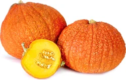 Key West Pumpkins Red Warty Thing