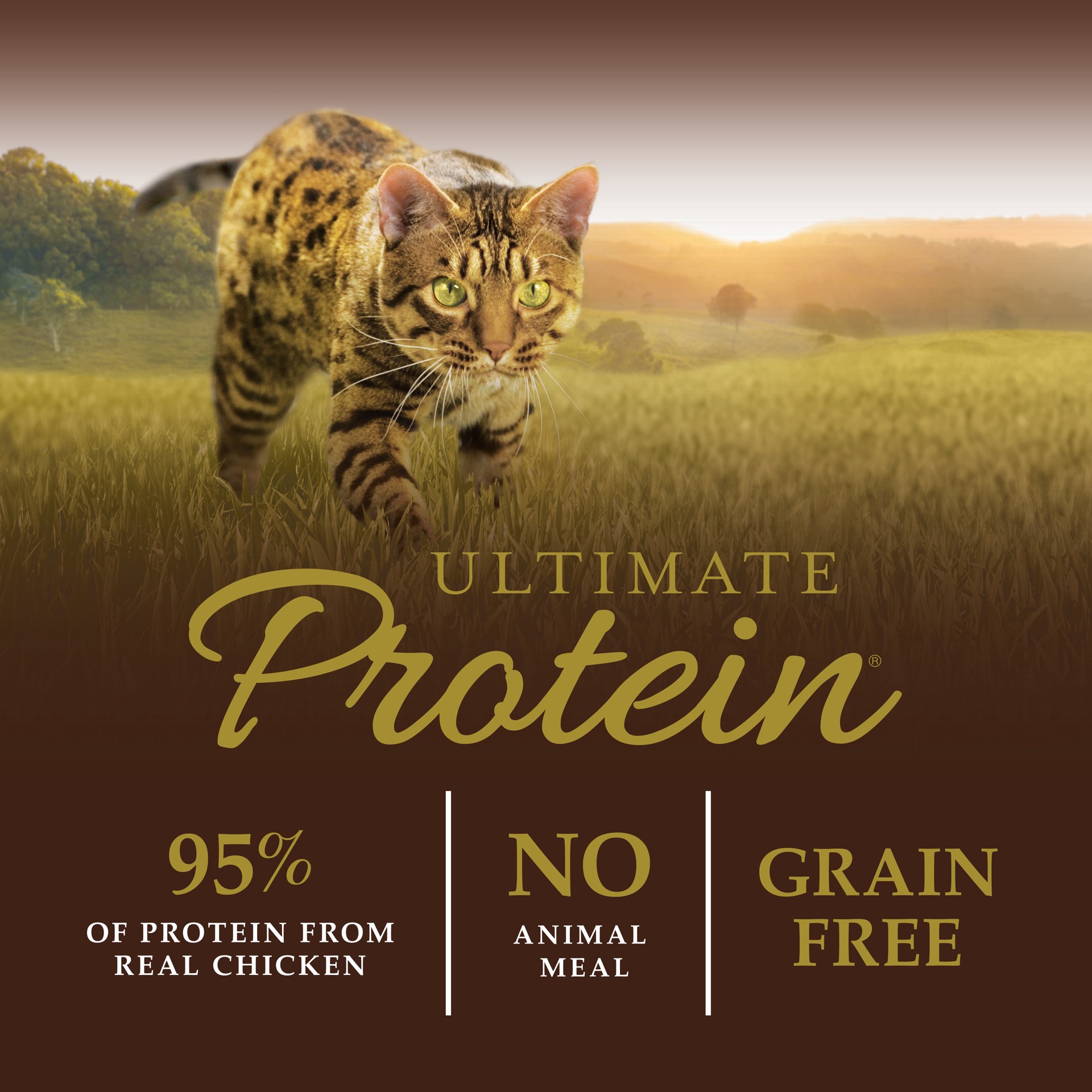 slide 9 of 10, Instinct Ultimate Protein Chicken Dry Cat Food, 10 lb. Bag, 10 lb