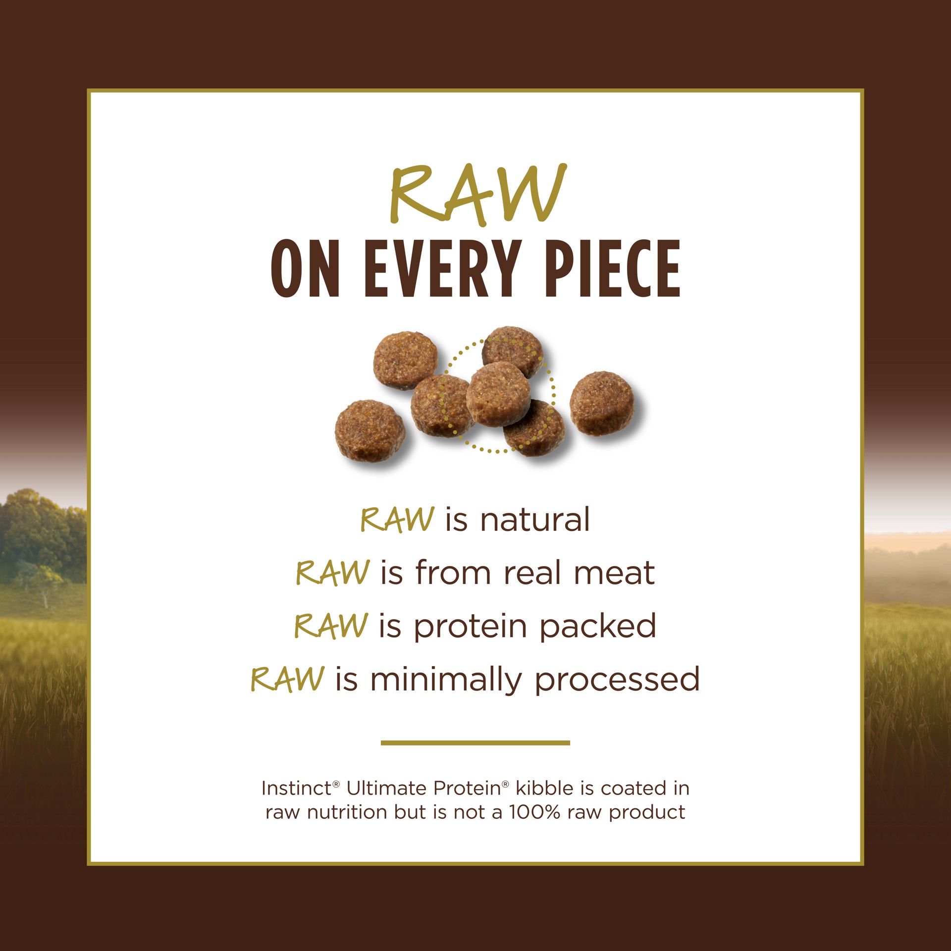 slide 8 of 10, Instinct Ultimate Protein Chicken Dry Cat Food, 10 lb. Bag, 10 lb