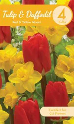Yellow Daffodil & Red Tulip Mixed - Each