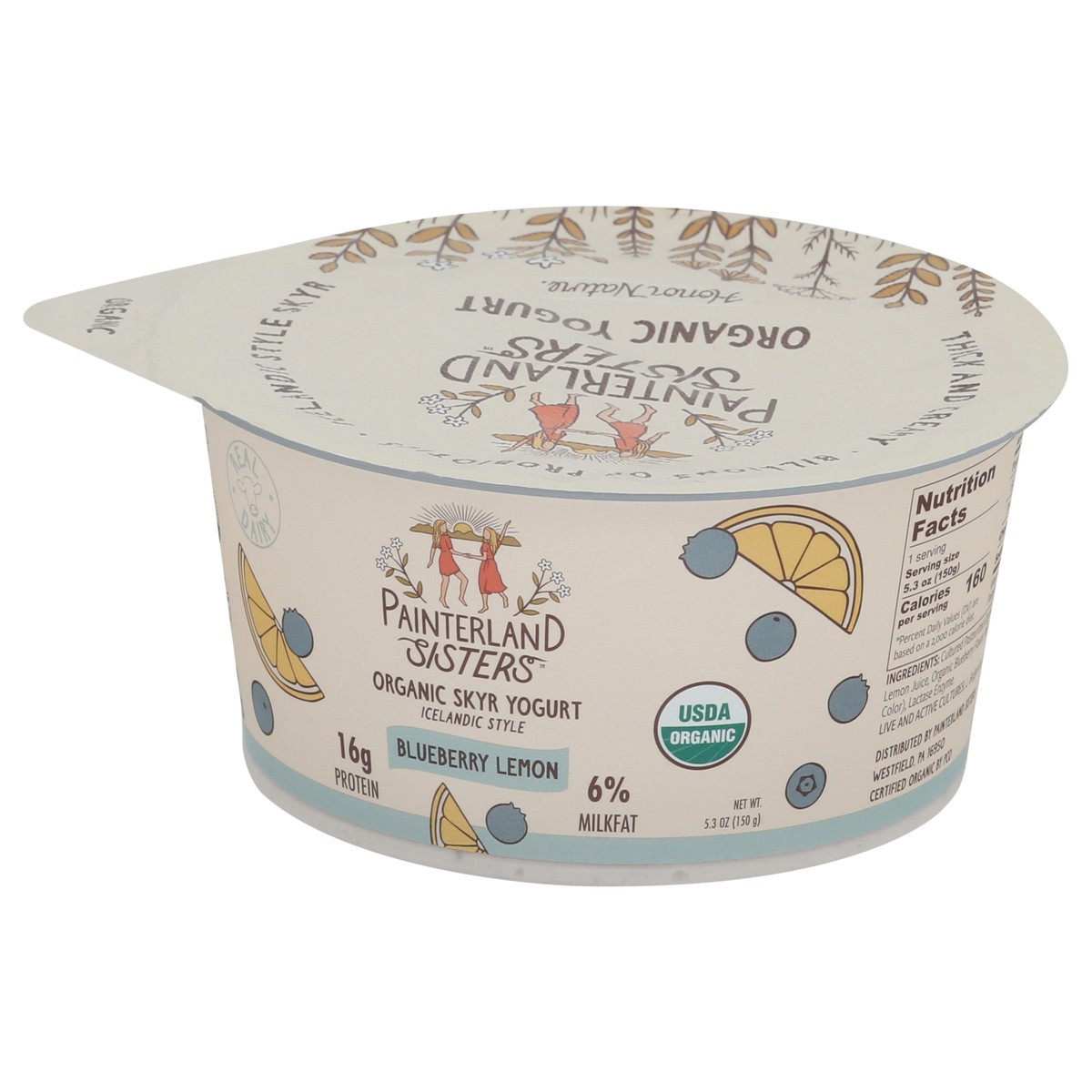 slide 2 of 13, Painterland Sisters Organic Skyr Icelandic Style Blueberry Lemon Yogurt 5.3 oz, 5.3 oz