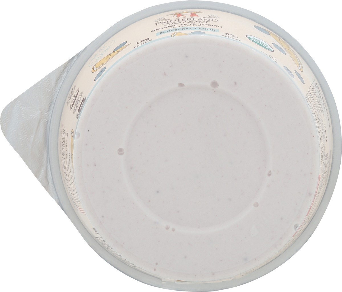 slide 6 of 13, Painterland Sisters Organic Skyr Icelandic Style Blueberry Lemon Yogurt 5.3 oz, 5.3 oz