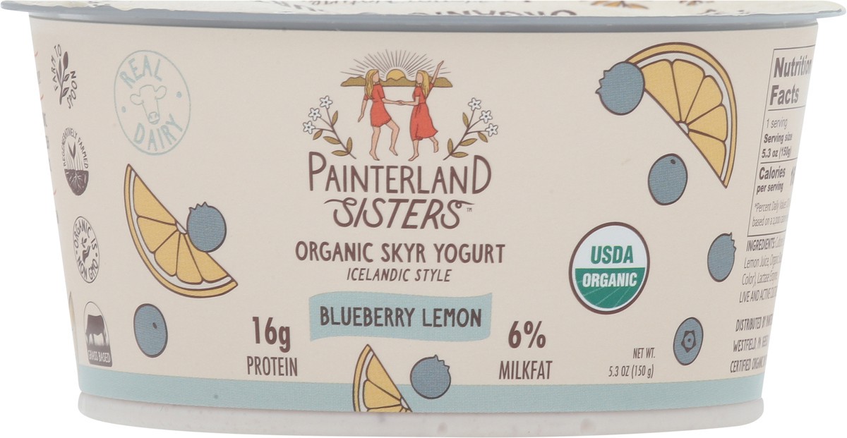 slide 3 of 13, Painterland Sisters Organic Skyr Icelandic Style Blueberry Lemon Yogurt 5.3 oz, 5.3 oz
