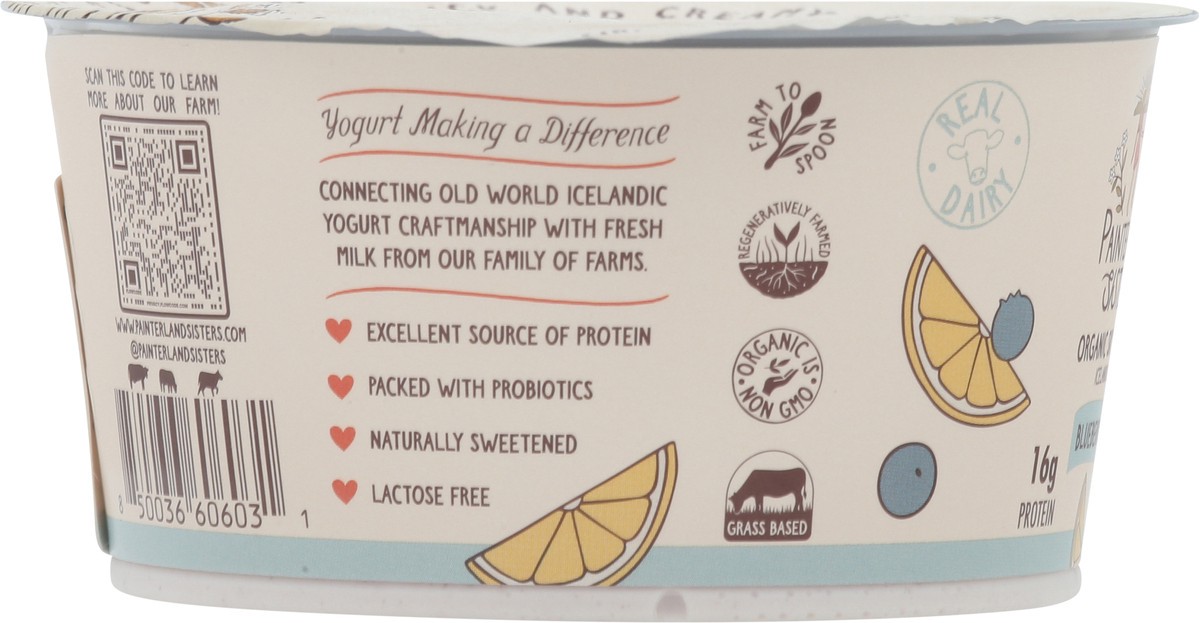 slide 7 of 13, Painterland Sisters Organic Skyr Icelandic Style Blueberry Lemon Yogurt 5.3 oz, 5.3 oz