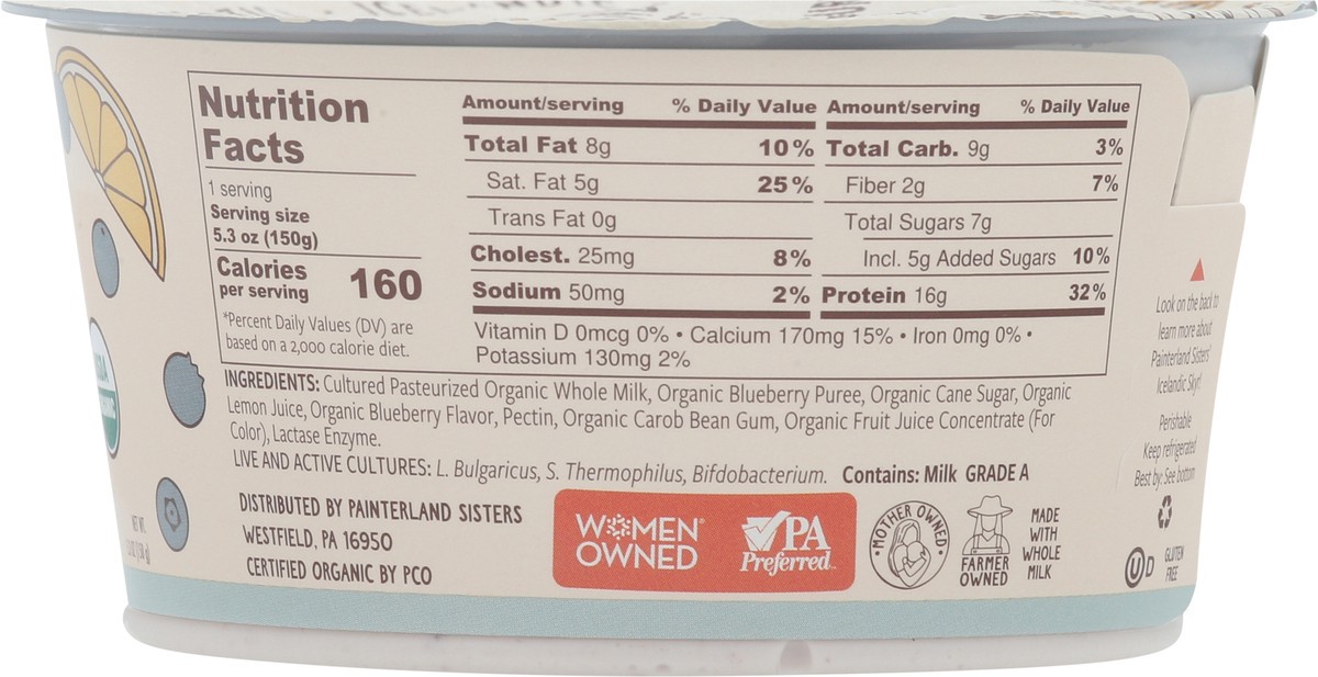 slide 10 of 13, Painterland Sisters Organic Skyr Icelandic Style Blueberry Lemon Yogurt 5.3 oz, 5.3 oz