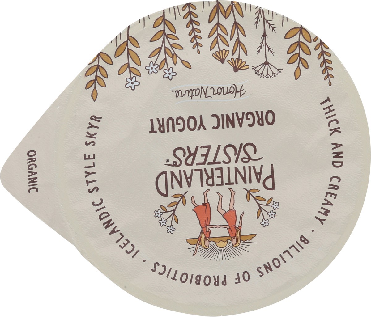 slide 13 of 13, Painterland Sisters Organic Skyr Icelandic Style Blueberry Lemon Yogurt 5.3 oz, 5.3 oz