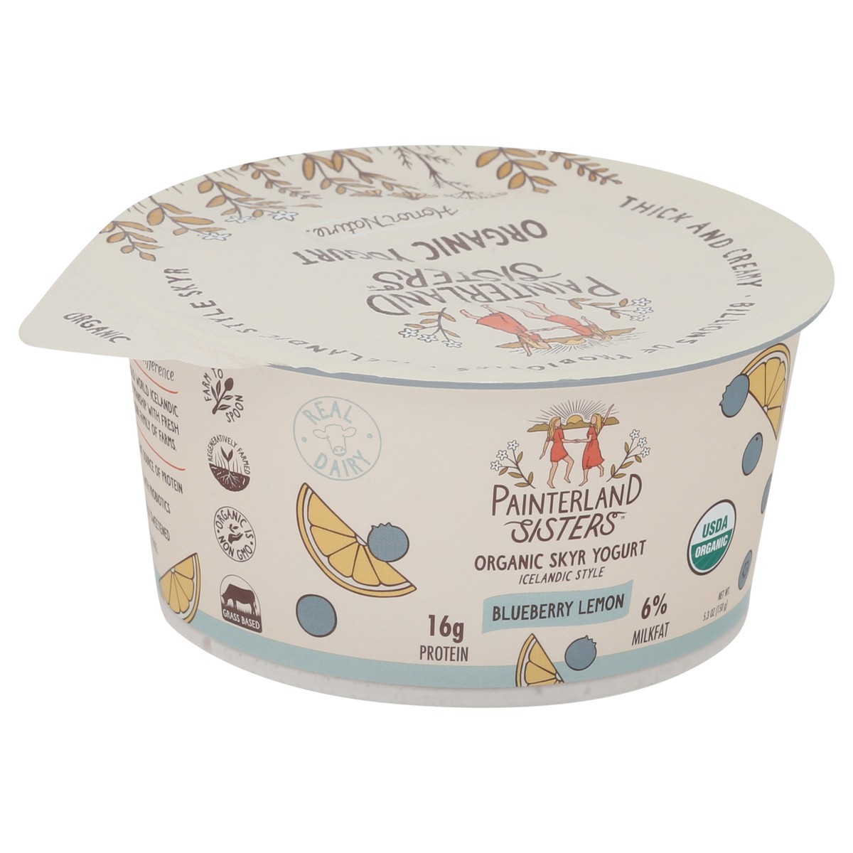 slide 12 of 13, Painterland Sisters Organic Skyr Icelandic Style Blueberry Lemon Yogurt 5.3 oz, 5.3 oz