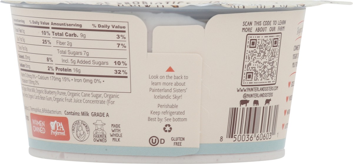 slide 8 of 13, Painterland Sisters Organic Skyr Icelandic Style Blueberry Lemon Yogurt 5.3 oz, 5.3 oz