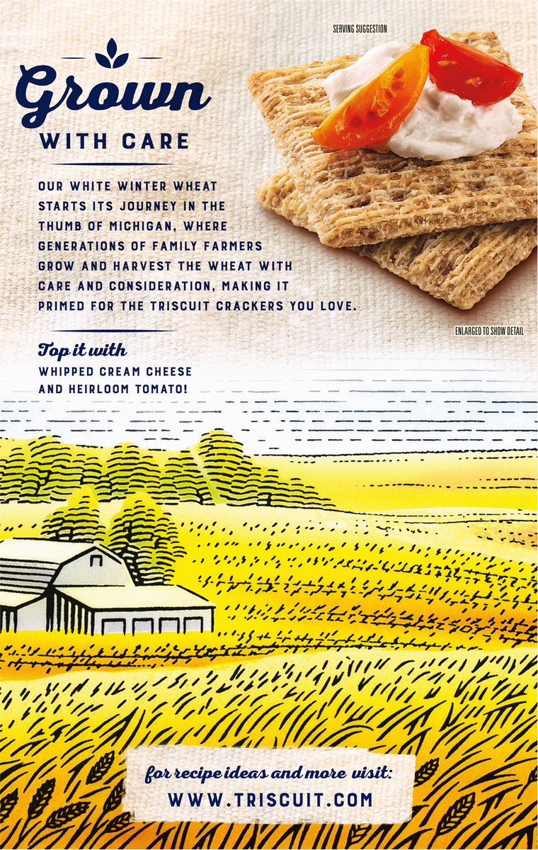 slide 7 of 9, Triscuit Original Whole Grain Wheat Crackers, Vegan Crackers, 8.5 oz, 8.5 oz