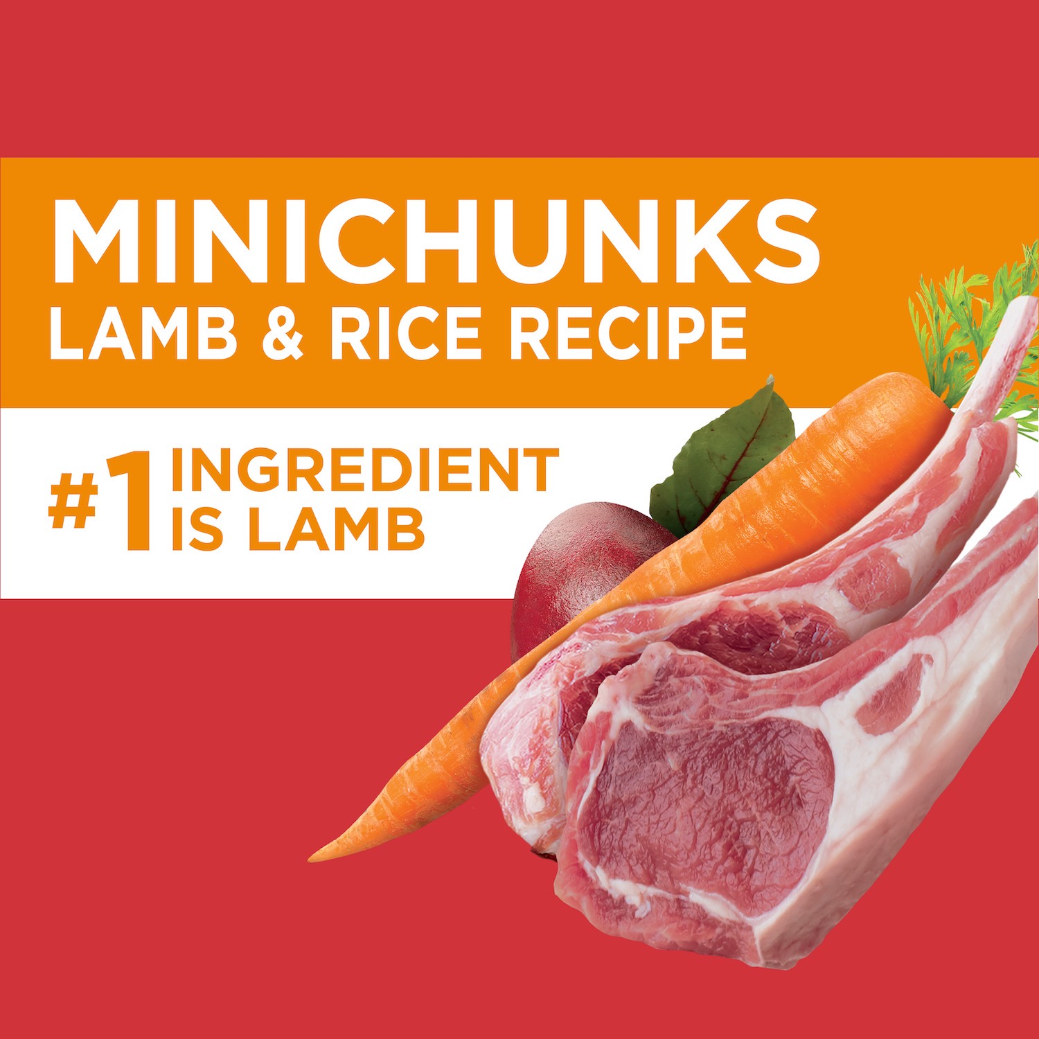 slide 5 of 5, Proactive Health Adult 1+ Minichunks Super Premium Lamb & Rice Recipe Dog Food 30 lb, 30 lb