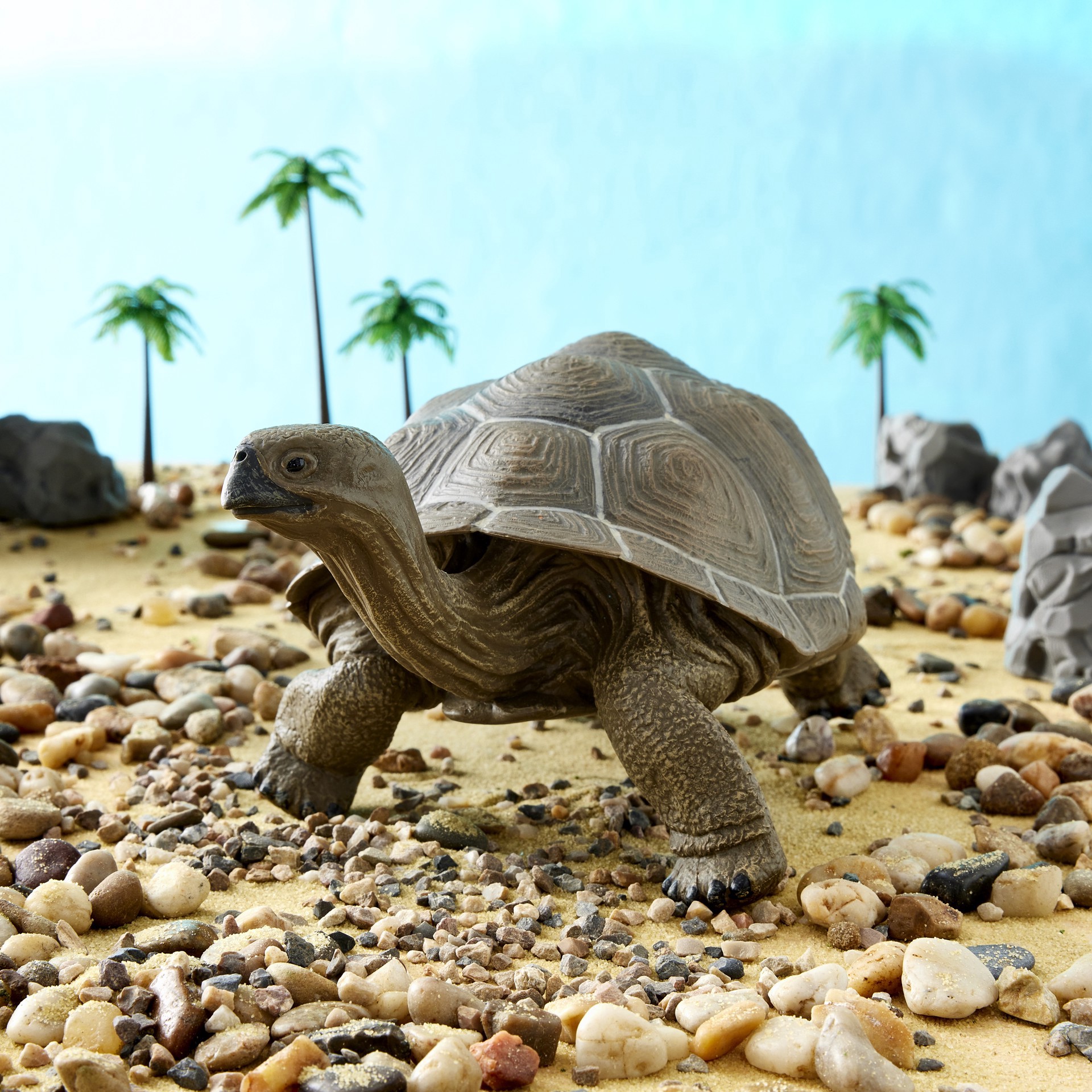 slide 2 of 2, Safari Ltd. Safari Ltd Galapagos Tortoise, 8.5 in x 4.5 in