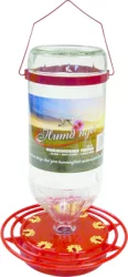 Glass Hummingbird Feeder