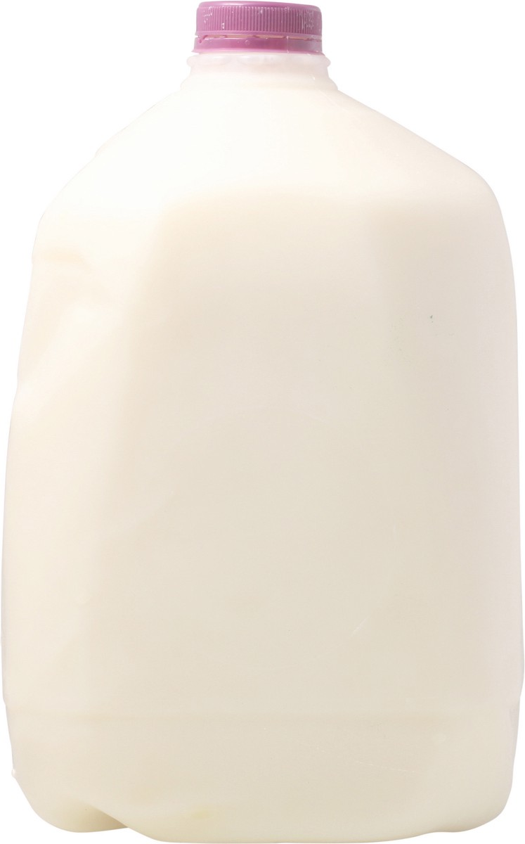 slide 9 of 10, Alpenrose Milk Fat Free - Gallon, 1 ct