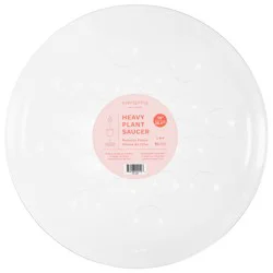 Curtis Wagner Everspring Heavy Plant Saucer 10 inch