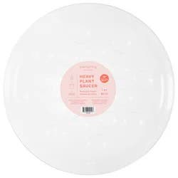 Curtis Wagner Everspring Heavy Plant Saucer 10 inch