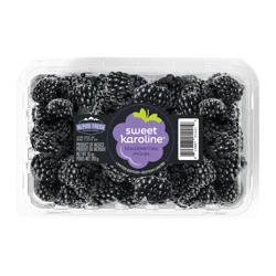 Sweet Karoline Blackberries 10 Oz.