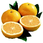 Produce Red Grapefruit