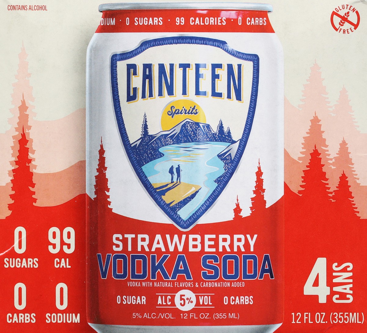 slide 5 of 9, Canteen Spirits Vodka Soda, Strawberry 4Pk, 4 ct; 12 oz