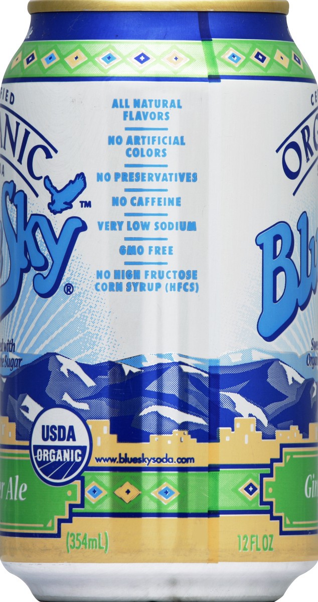 slide 3 of 4, Blue Sky Organic Ginger Ale - 6 ct; 12 fl oz, 1 ct