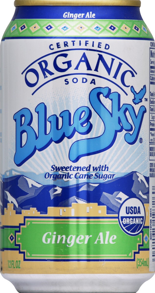 slide 4 of 4, Blue Sky Organic Ginger Ale - 6 ct; 12 fl oz, 1 ct