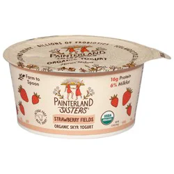 Painterland Sisters Organic Skyr Strawberry Yogurt 5.3 oz