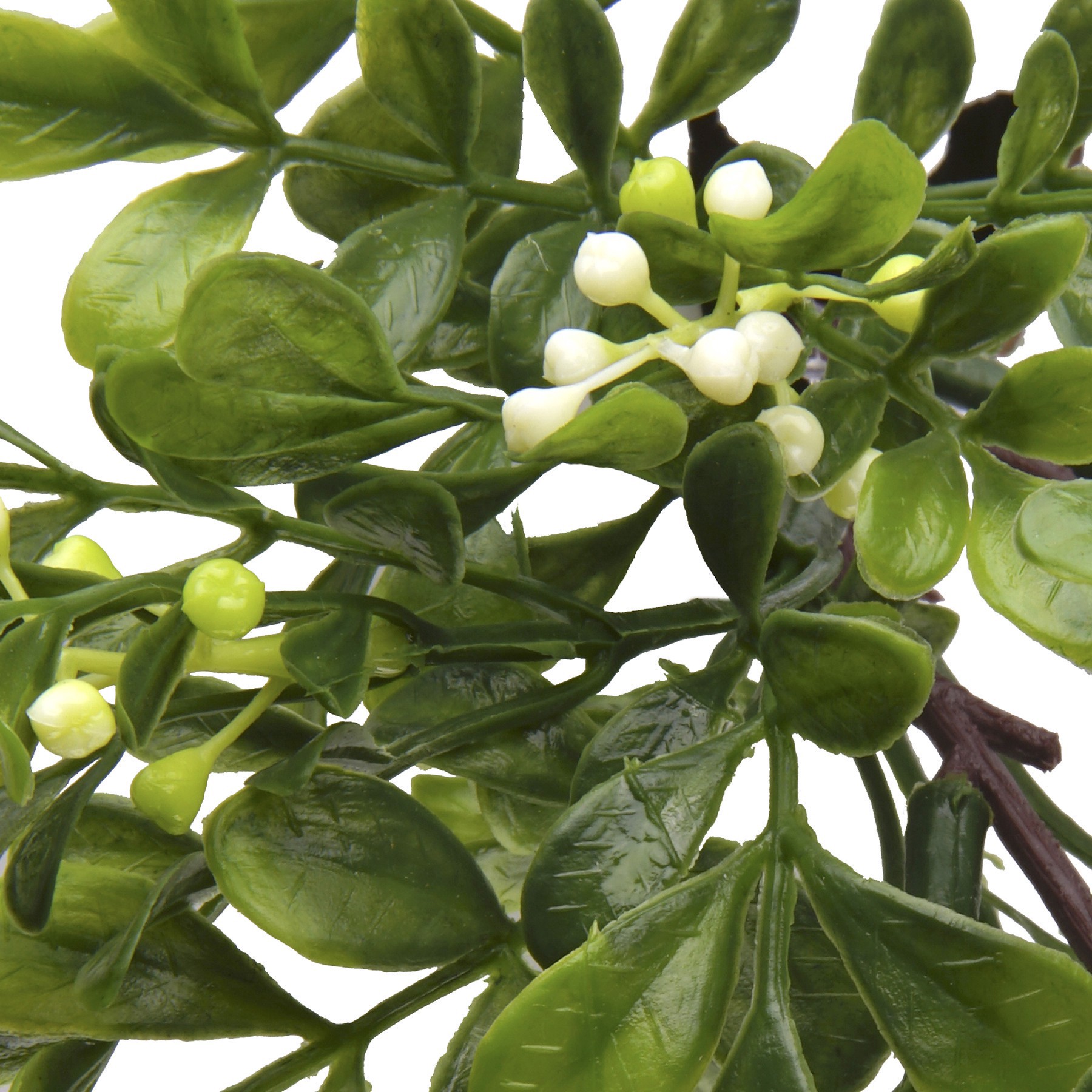 slide 5 of 5, 11" Boxwood Pick By Ashland, 11 in