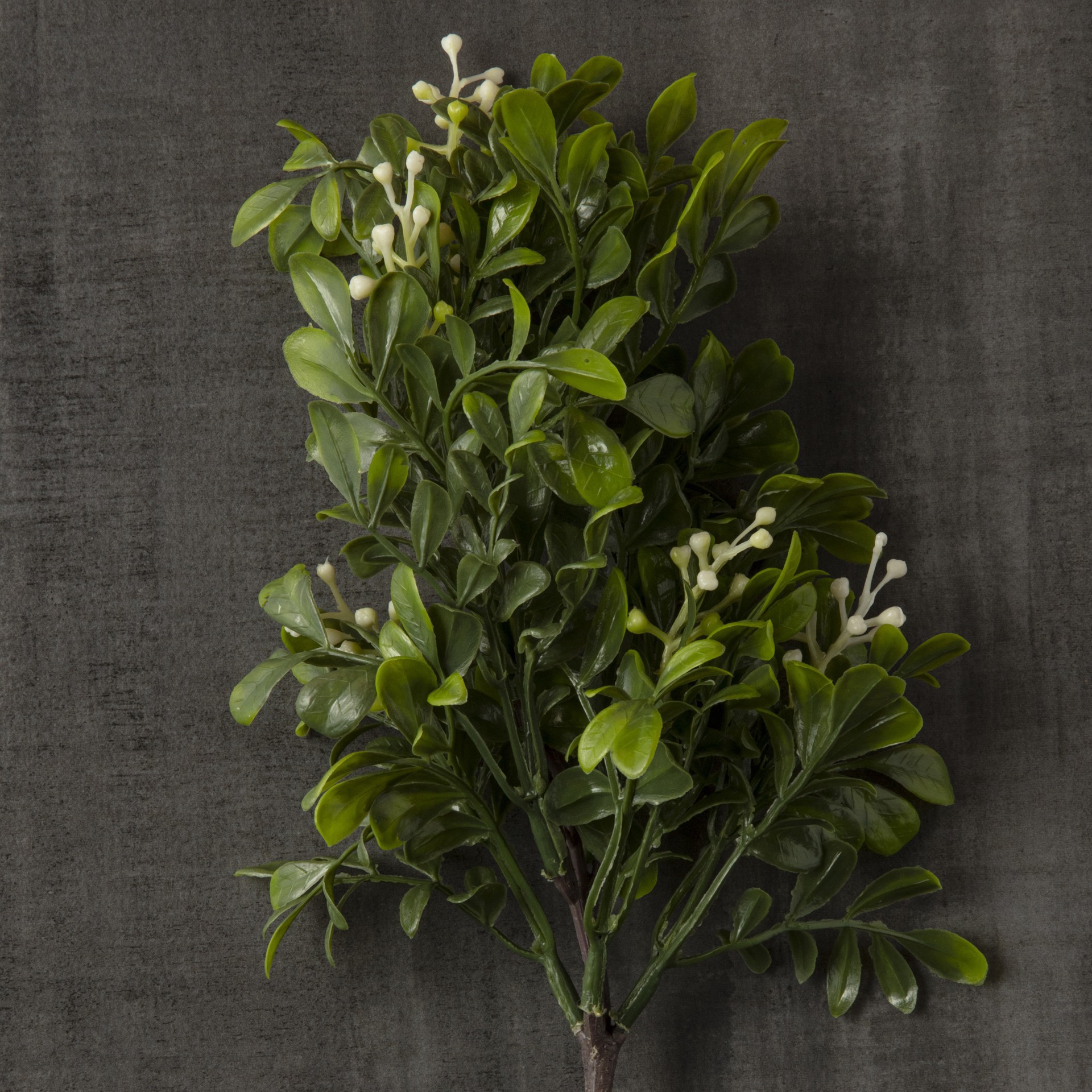 slide 3 of 5, 11" Boxwood Pick By Ashland, 11 in