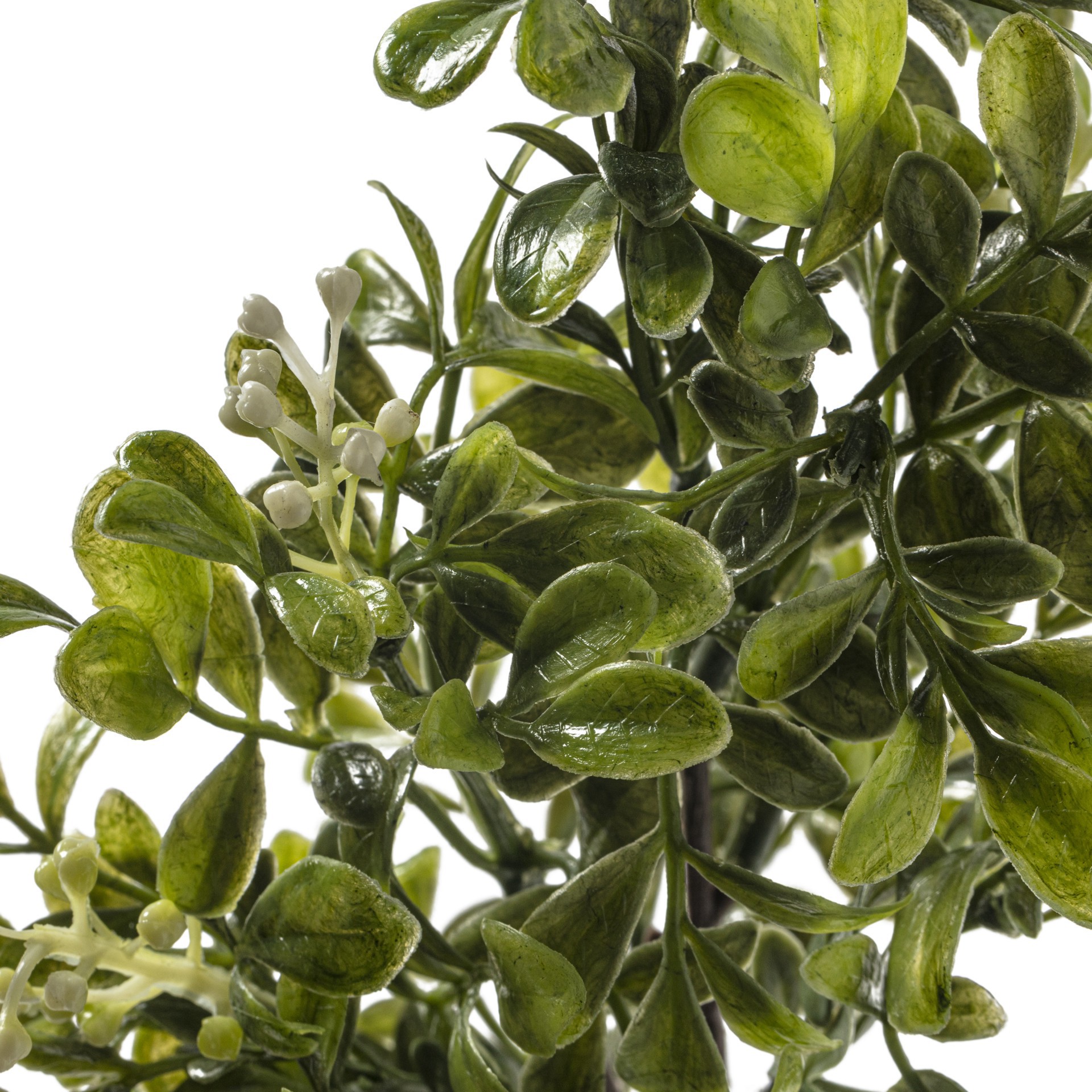 slide 2 of 5, 11" Boxwood Pick By Ashland, 11 in